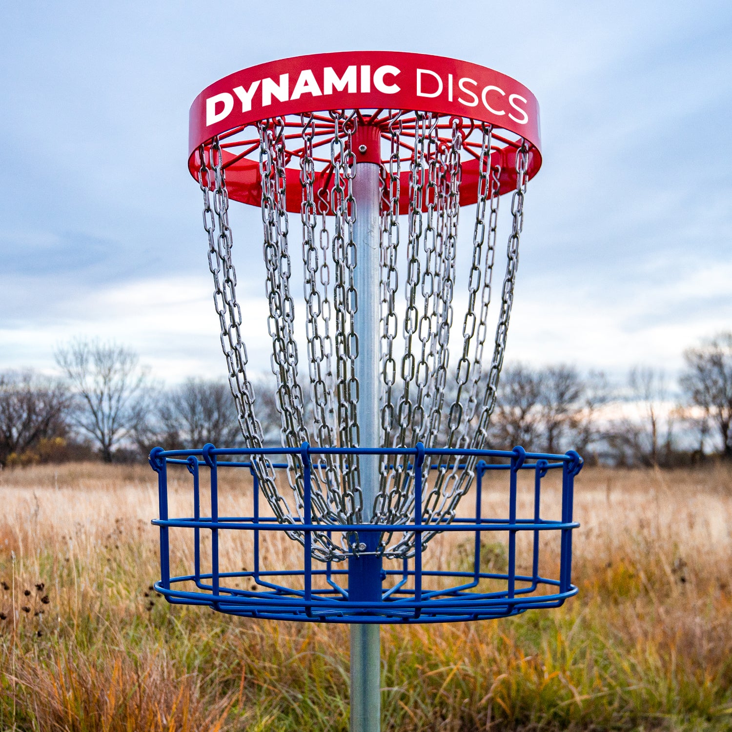 Veteran Disc Golf Basket
